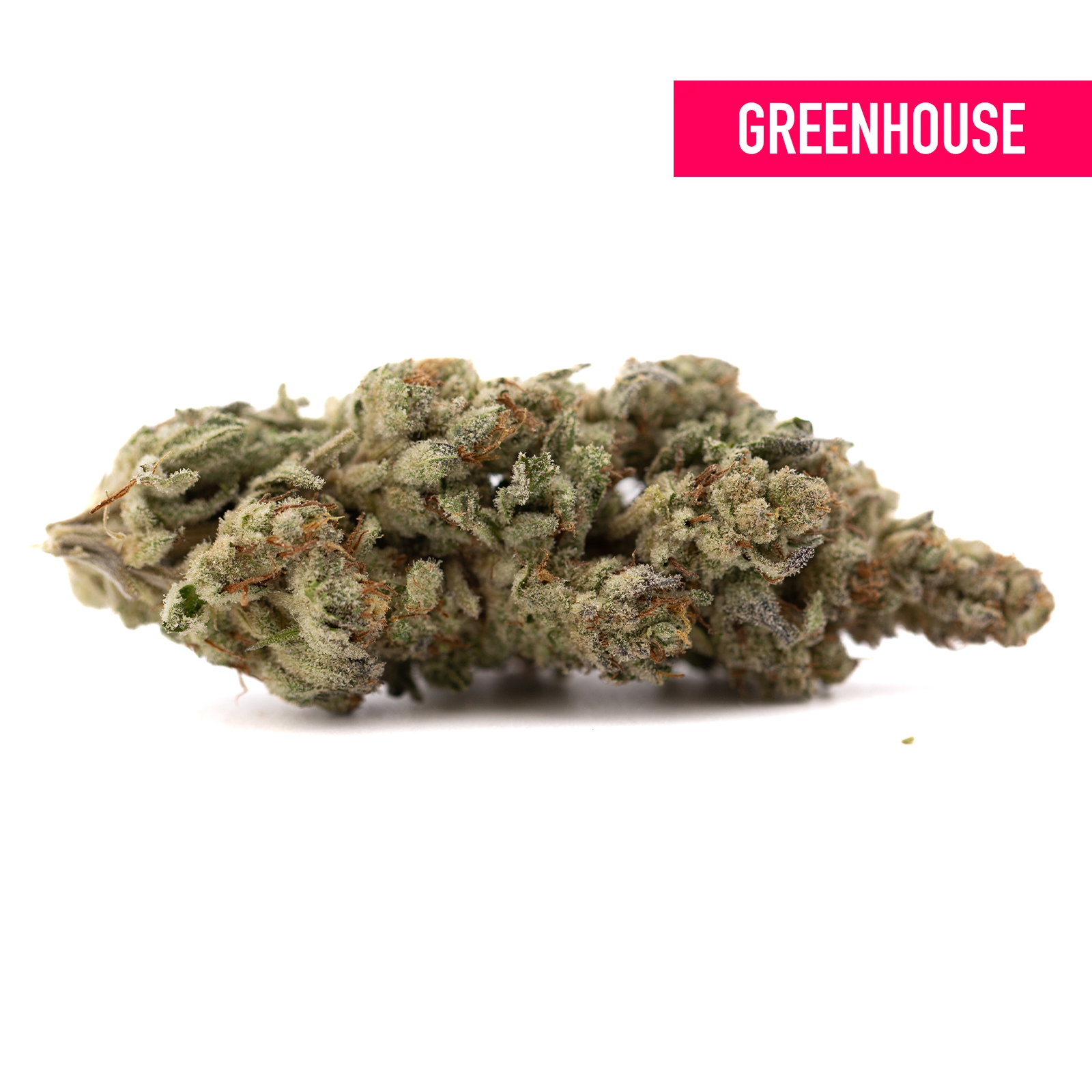 Green Nectarine Jelly THCa Hemp Flower Bud with Trichomes