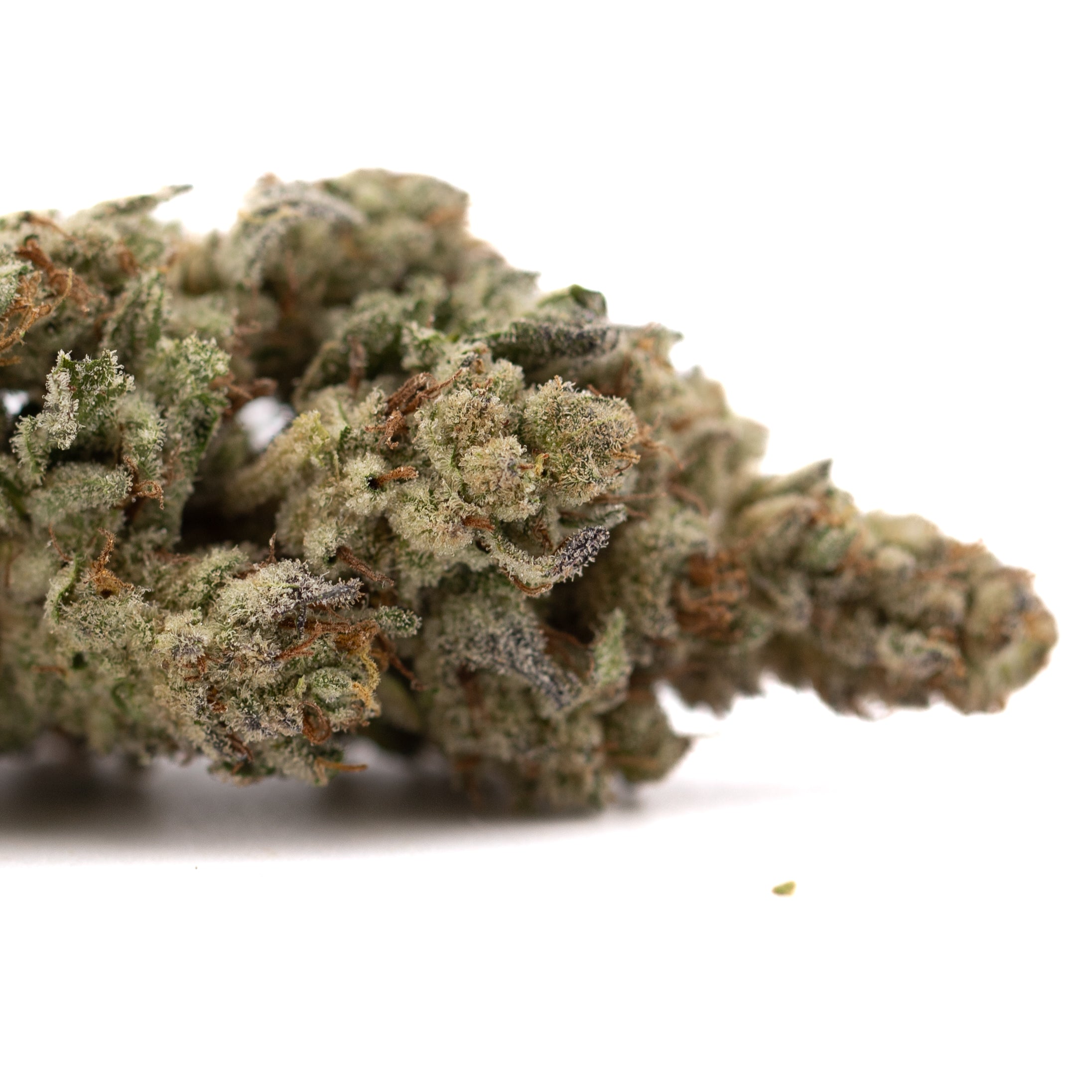 Premium Nectarine Jelly THCa hemp flower bud with dense trichomes