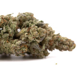 Premium Nectarine Jelly THCa hemp flower bud with dense trichomes