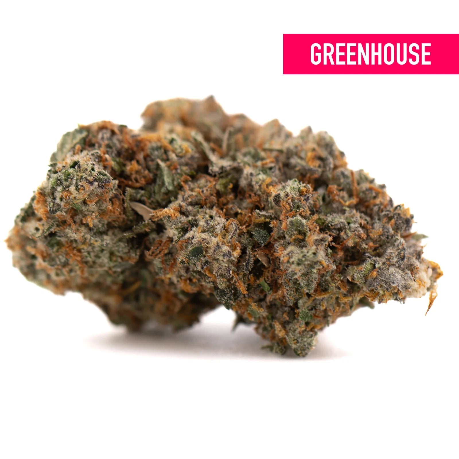 Green and orange Nectarine Jelly THCa hemp flower bud with white trichomes, Greenhouse craft cannabis