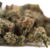 Dense green northern lights indoor thca flower smalls bud with frosty white trichomes and orange pistils