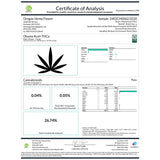 Obama Kush Indoor THCa Flower - 5g - Plants