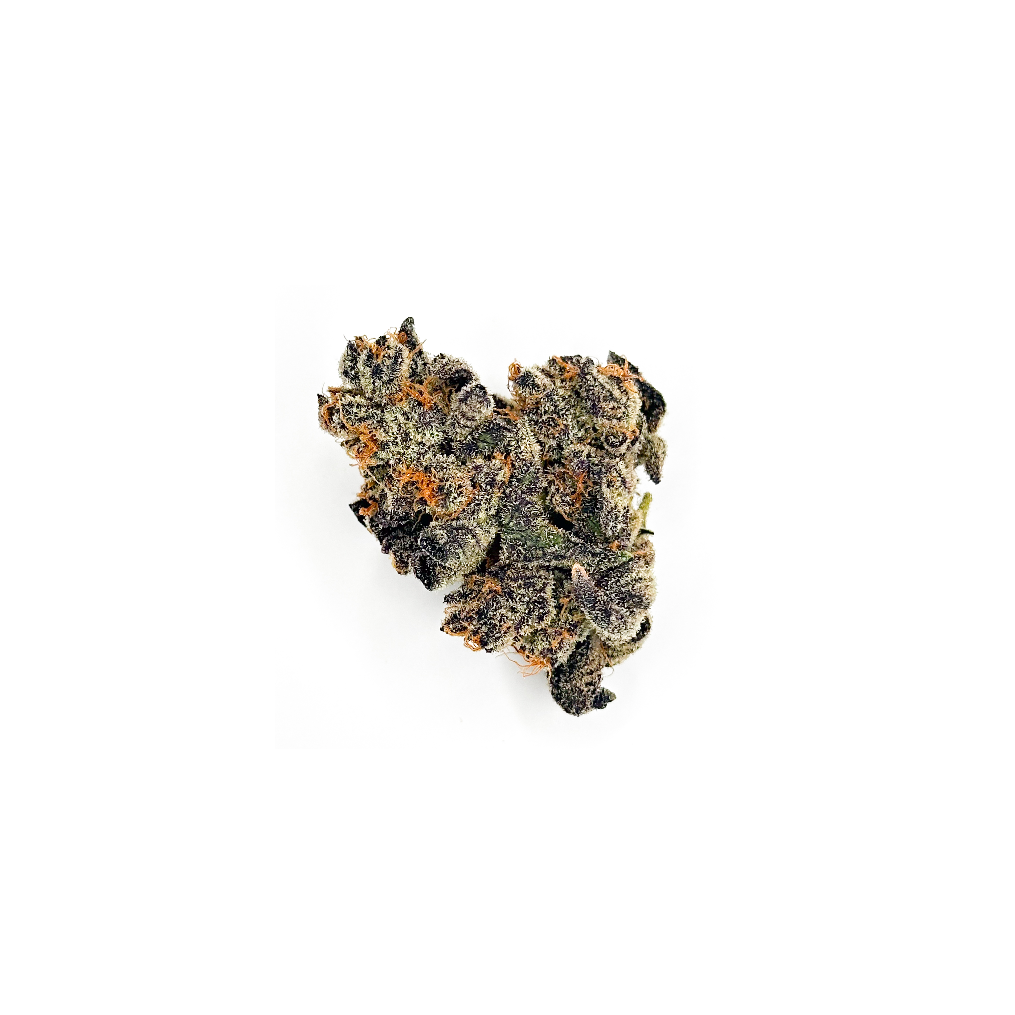 Obama Kush Indoor THCa Flower - 5g - Plants