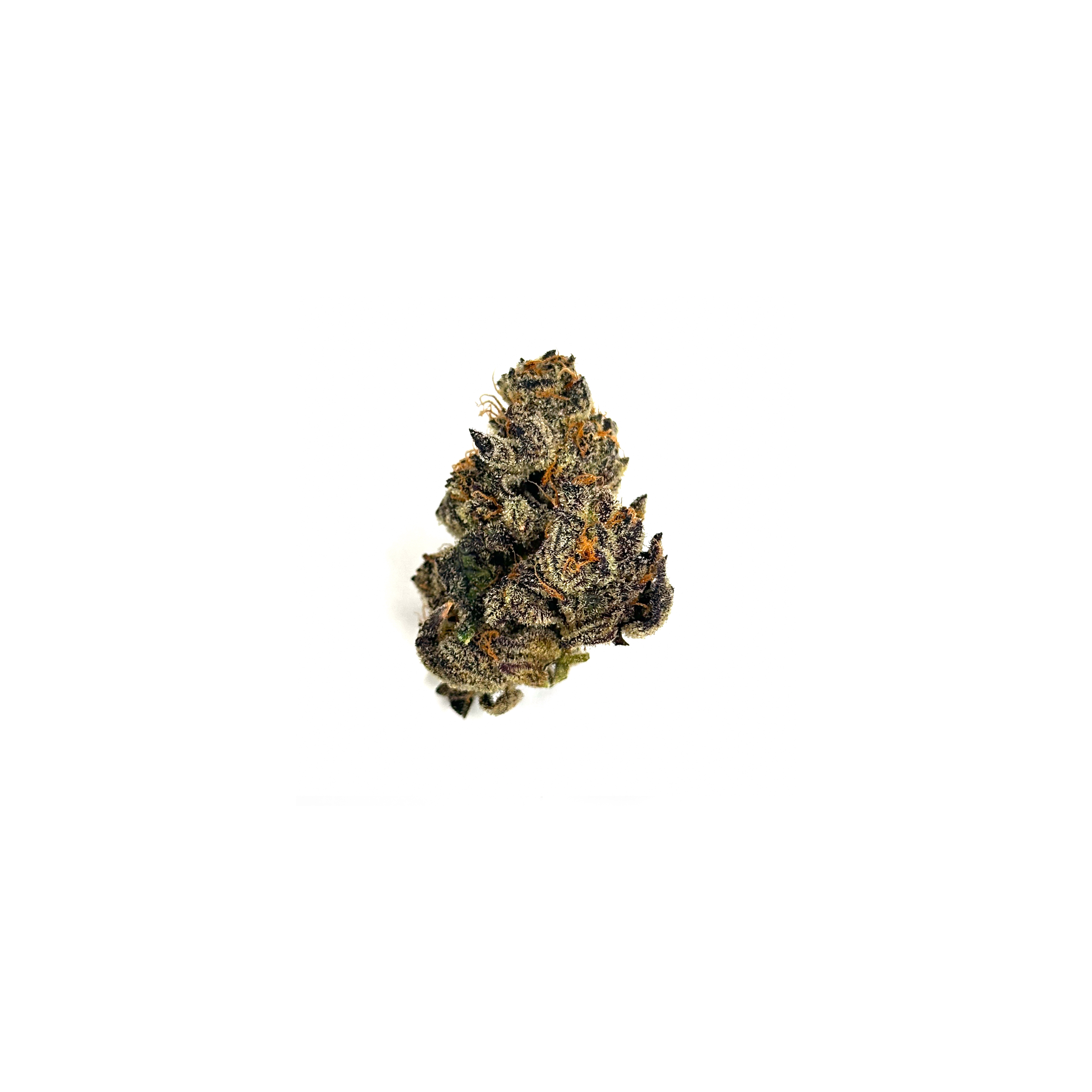 Obama Kush Indoor THCa Flower - 5g - Plants