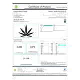 OG Kush THCa Hemp Flower Greenhouse - Plants