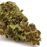 OG Kush THCa Hemp Flower Greenhouse - Plants