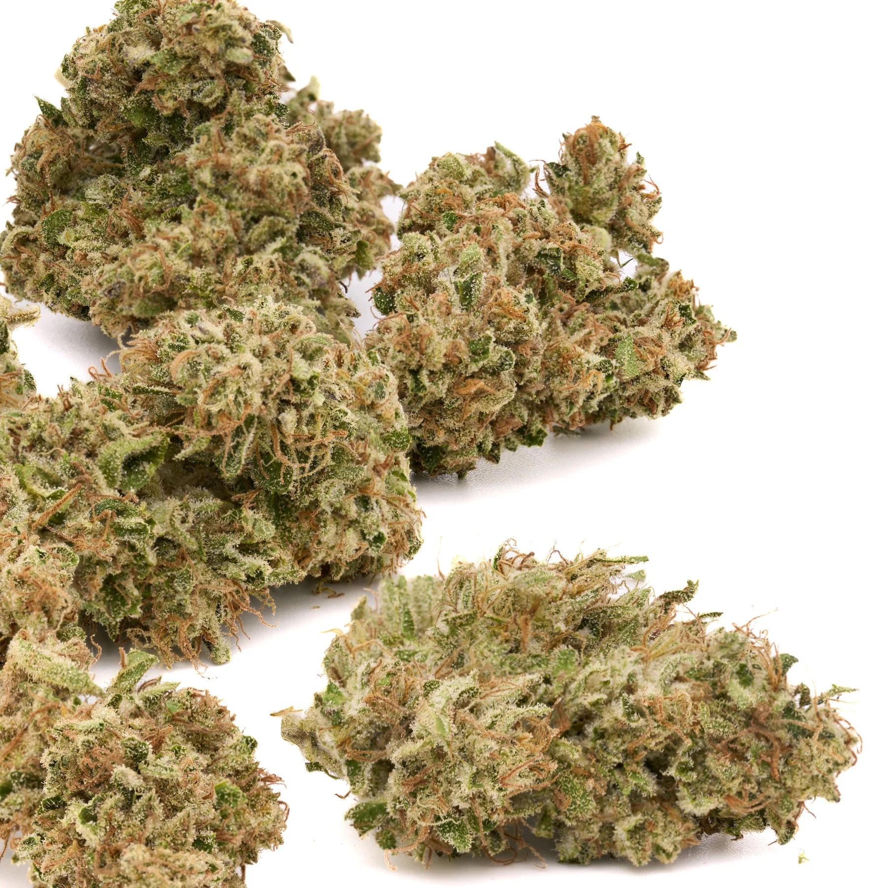 OG Watermelon THCa Hemp Flower - Plants