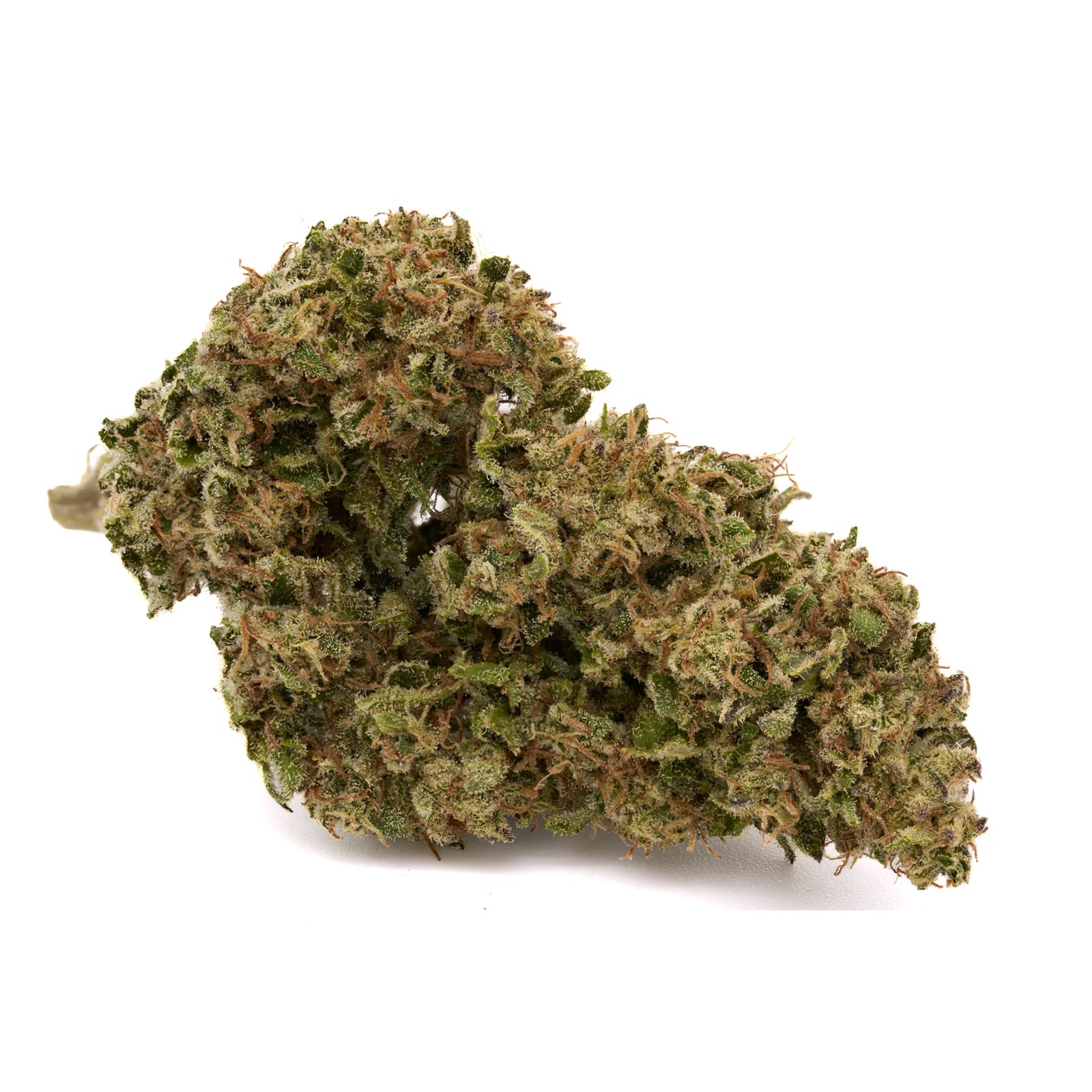 OG Watermelon THCa Hemp Flower - Plants