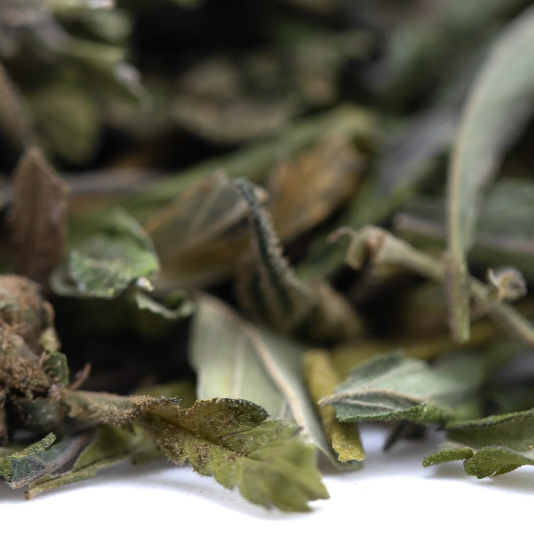 Dried green and brown herbal leaves with stems of orange runtz greenhouse thca trim wholesale african orange