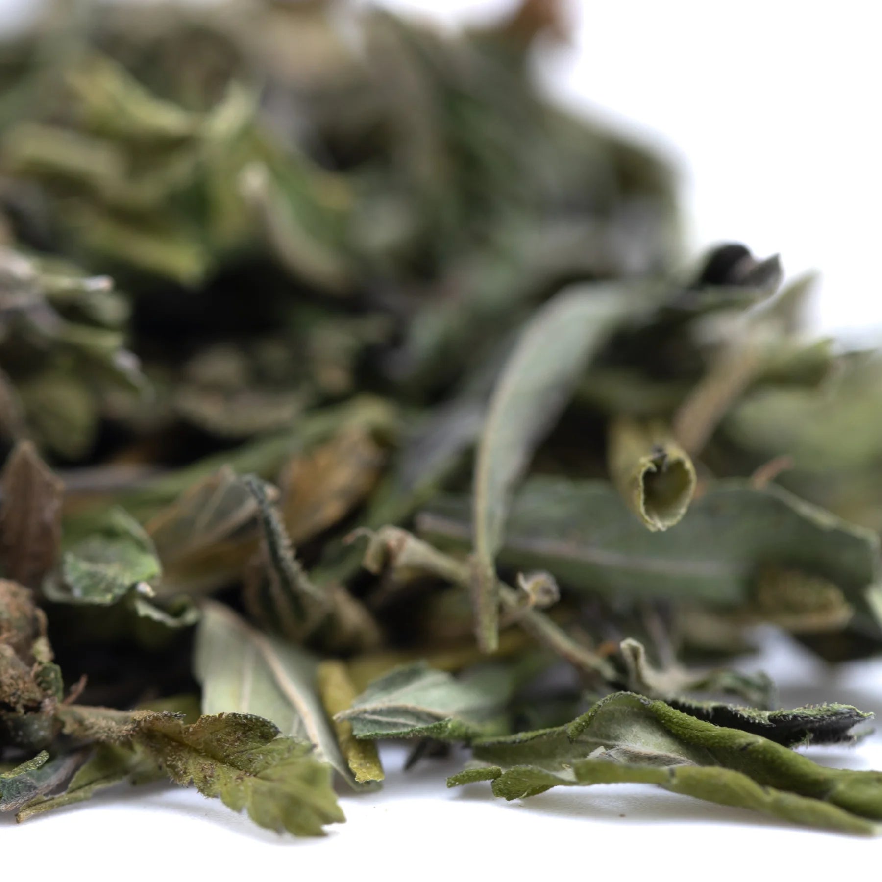 Dried green mint leaves with light and dark shades and brown edges from orange runtz greenhouse thca trim wholesale