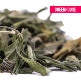 Dried sage leaves in muted green and pale yellow hues with curled edges from orange runtz greenhouse thca trim wholesale