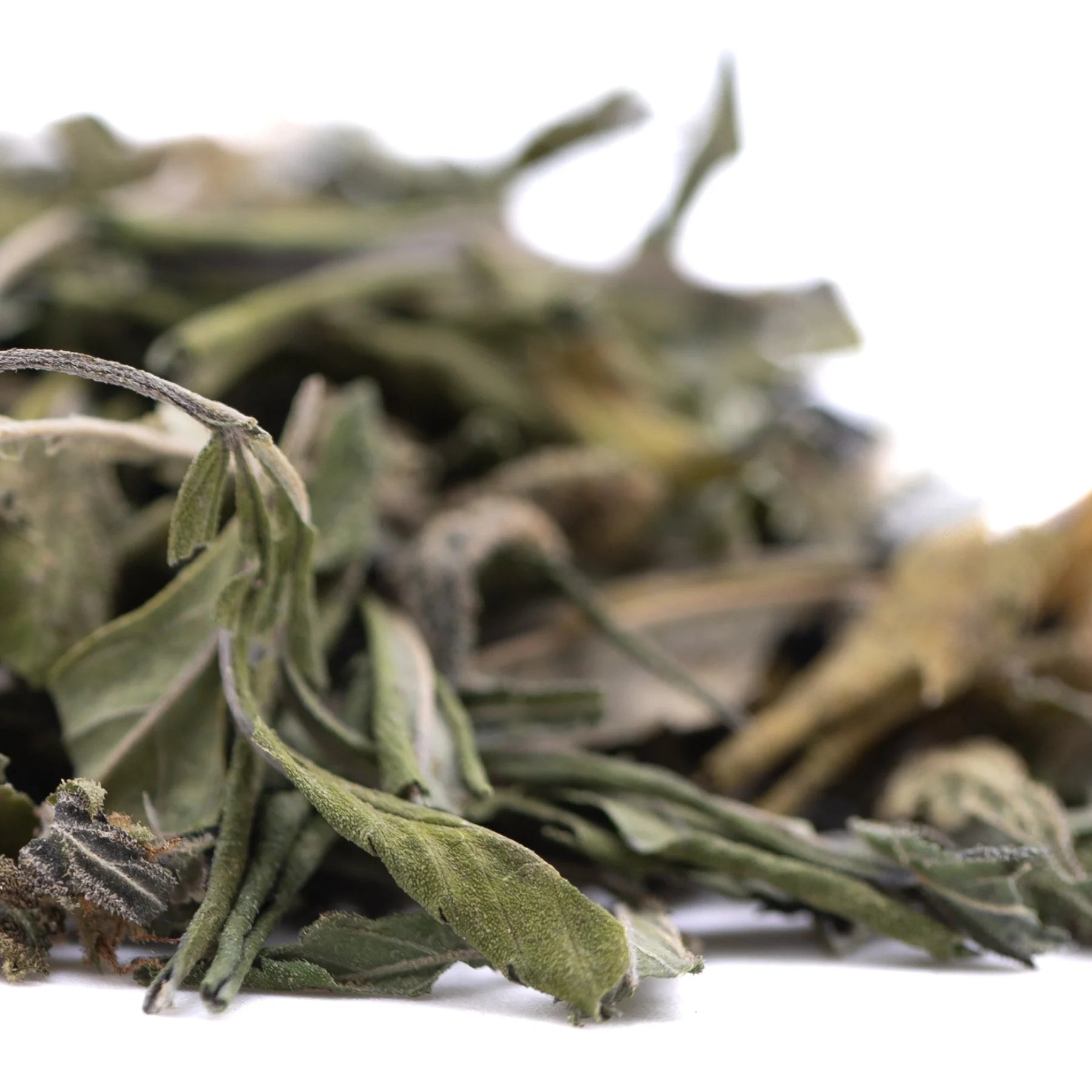 Dried sage leaves with muted green hue and textured surface in orange runtz greenhouse thca trim wholesale product