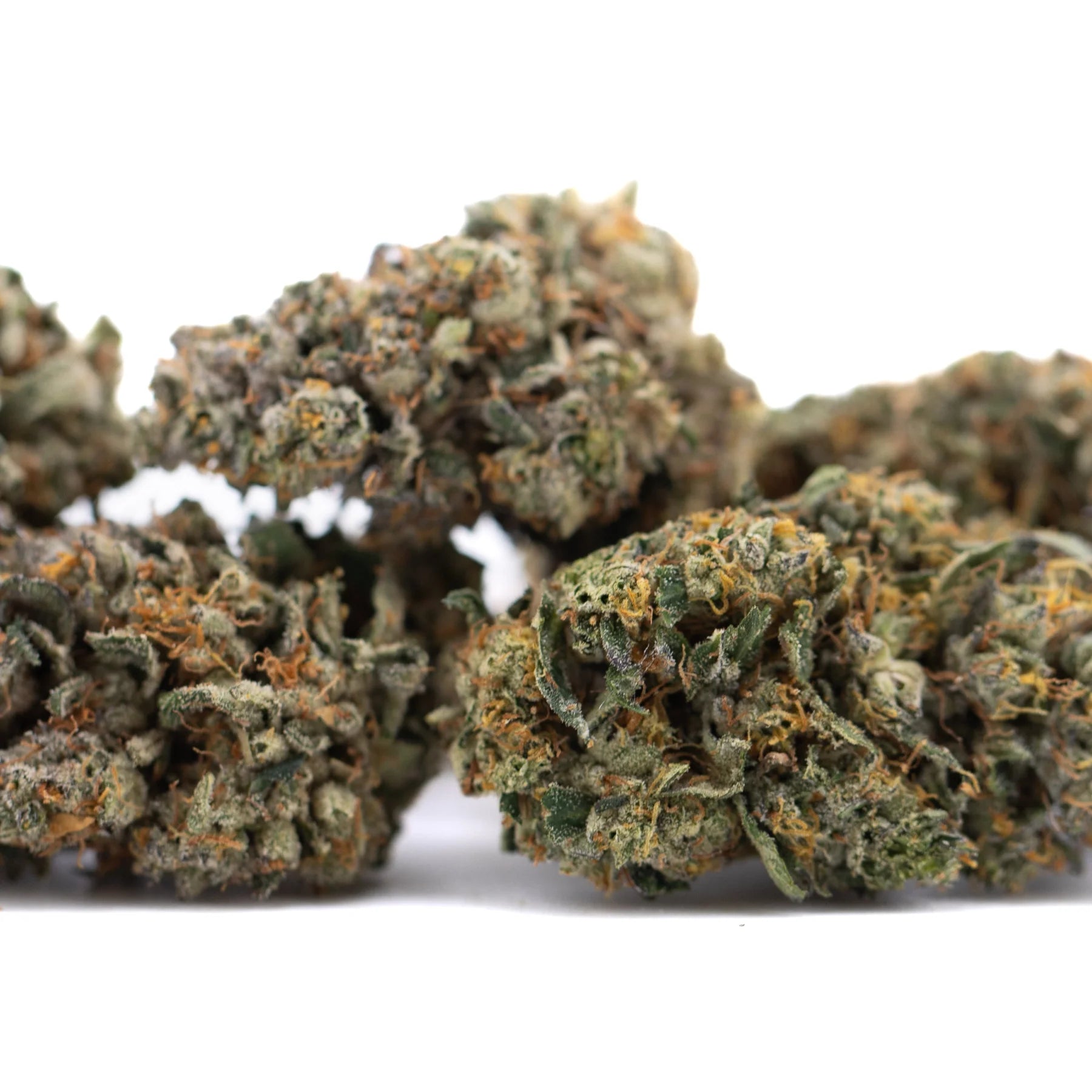 A dense resinous orange runtz indoor thca flower bud with green and orange hues highlighting african orange traits