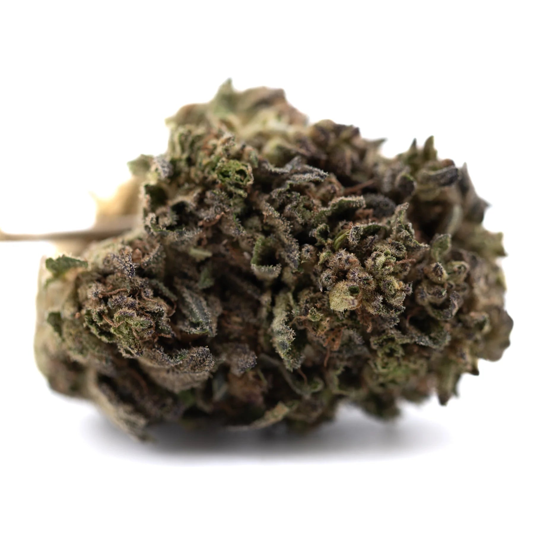 A dense orange runtz thca flower hemp bud with green and brown hues covered in fine trichomes for morning motivation