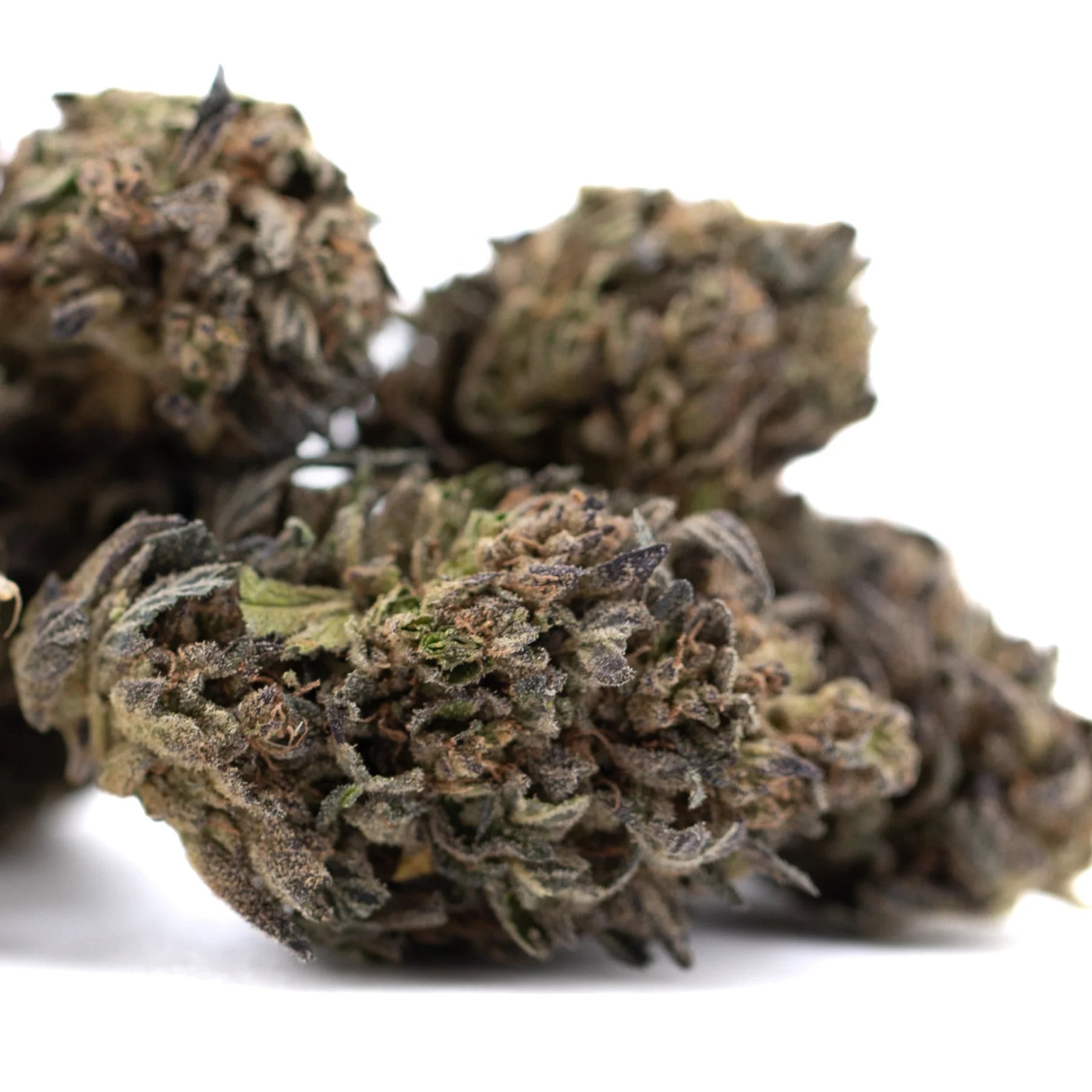Dried orange runtz thca flower hemp buds with dense green brown and purple texture for morning motivation