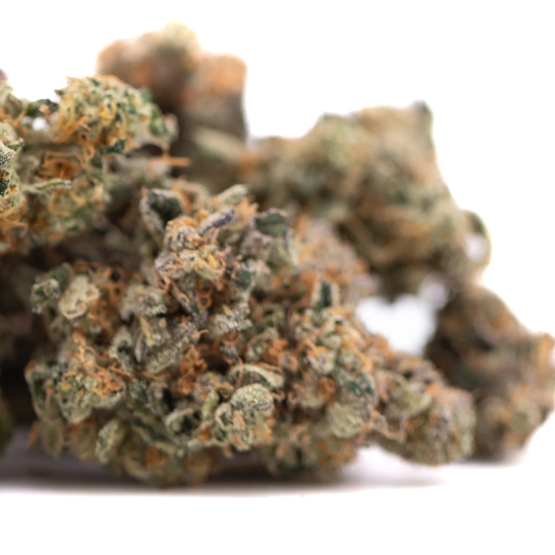 A dense green and orange-hued orange sumo indoor thca flower bud with trichomes from indoor cultivation