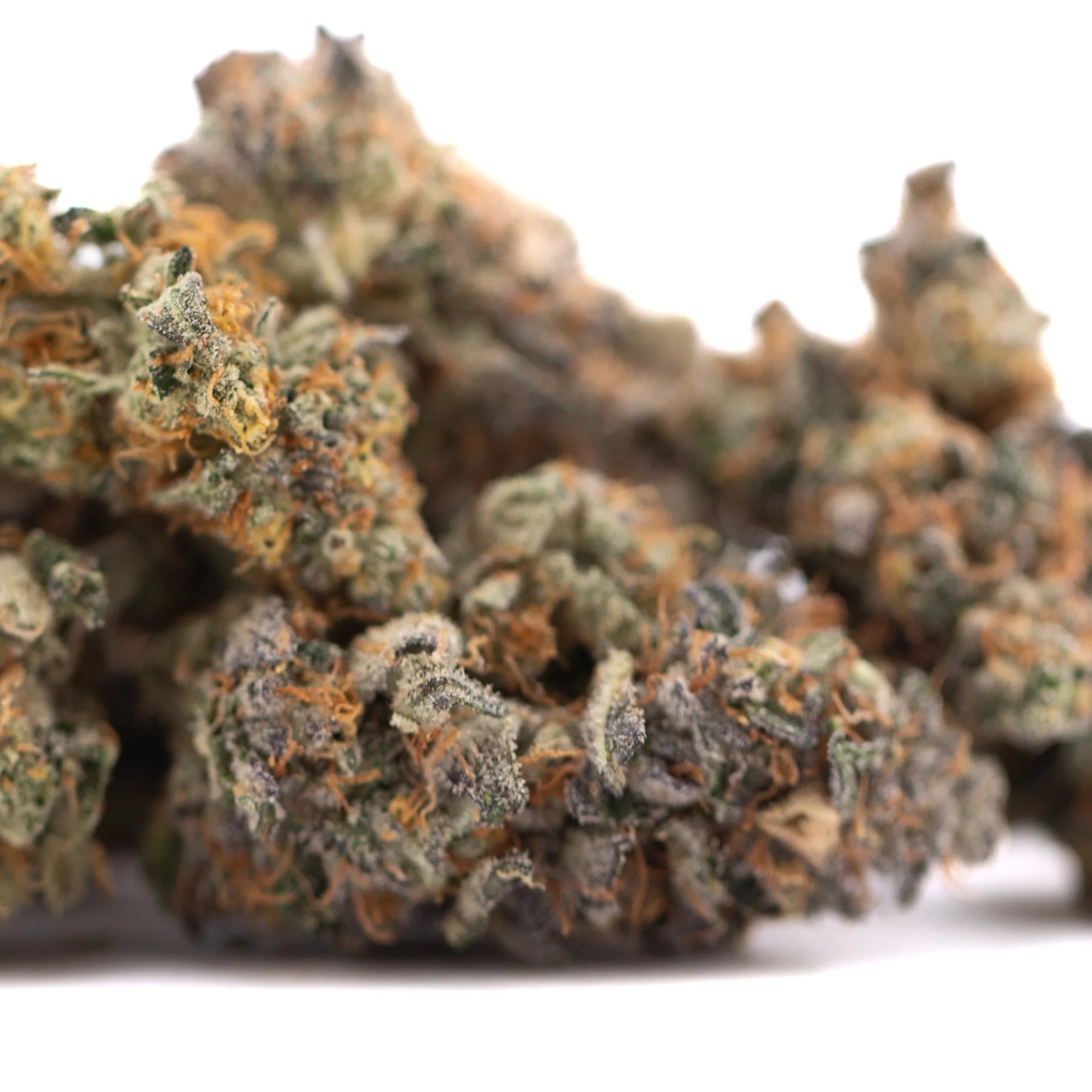 A dense resinous orange sumo indoor thca flower bud with green orange and gray hues from indoor cultivation