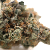 A dense, resinous orange sumo indoor thca flower bud with green and orange hues and fine trichomes from indoor cultivation