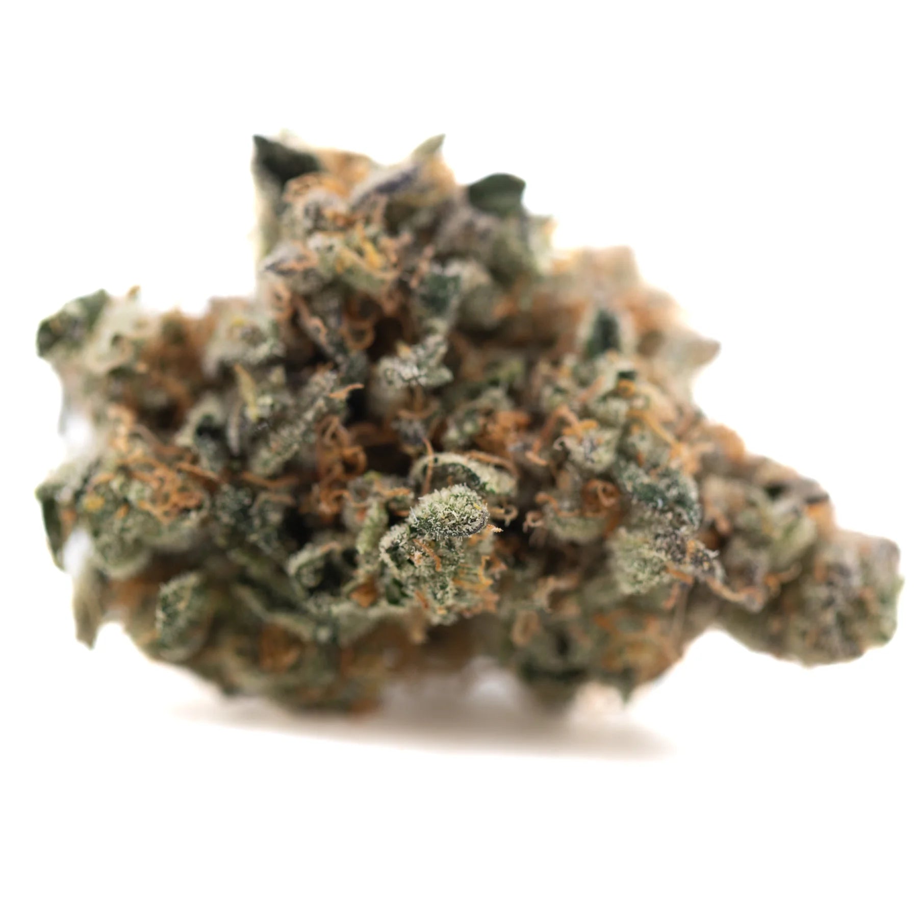 Dense textured orange sumo indoor thca flower bud with green and orange hues covered in fine trichomes from indoor cultivation