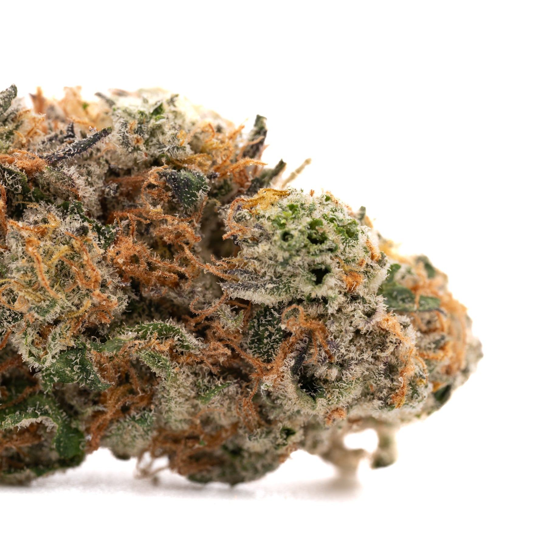 Oregon Huckleberry Indoor THCa Flower Wholesale - 1/2 LB