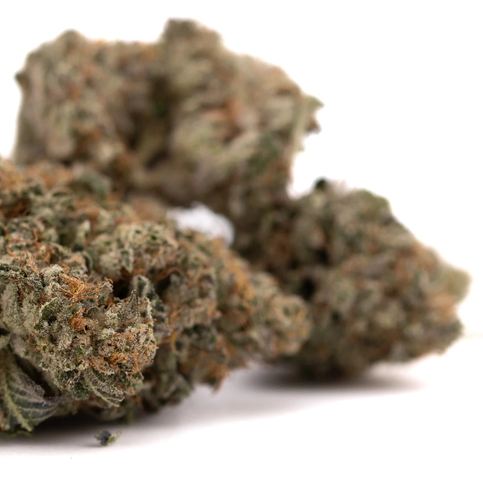 Dried Oregon Mac Indoor THCa Flower buds with trichomes and orange pistils for therapeutic benefits