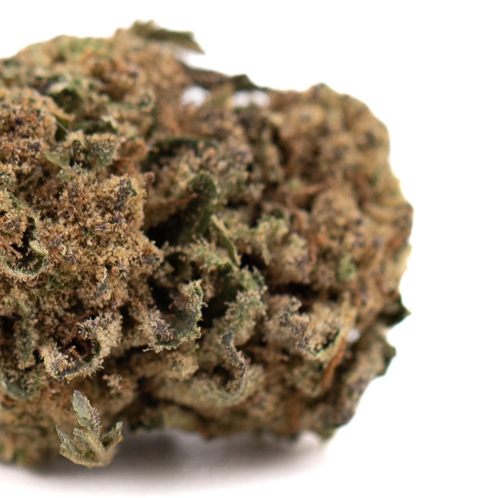 Dried cannabis flower bud from Pablo THCa Flower Sherb Cake with high THCA potency