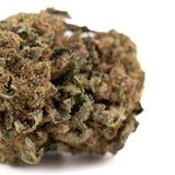 Dried cannabis flower bud from Pablo THCa Flower Sherb Cake with high THCA potency