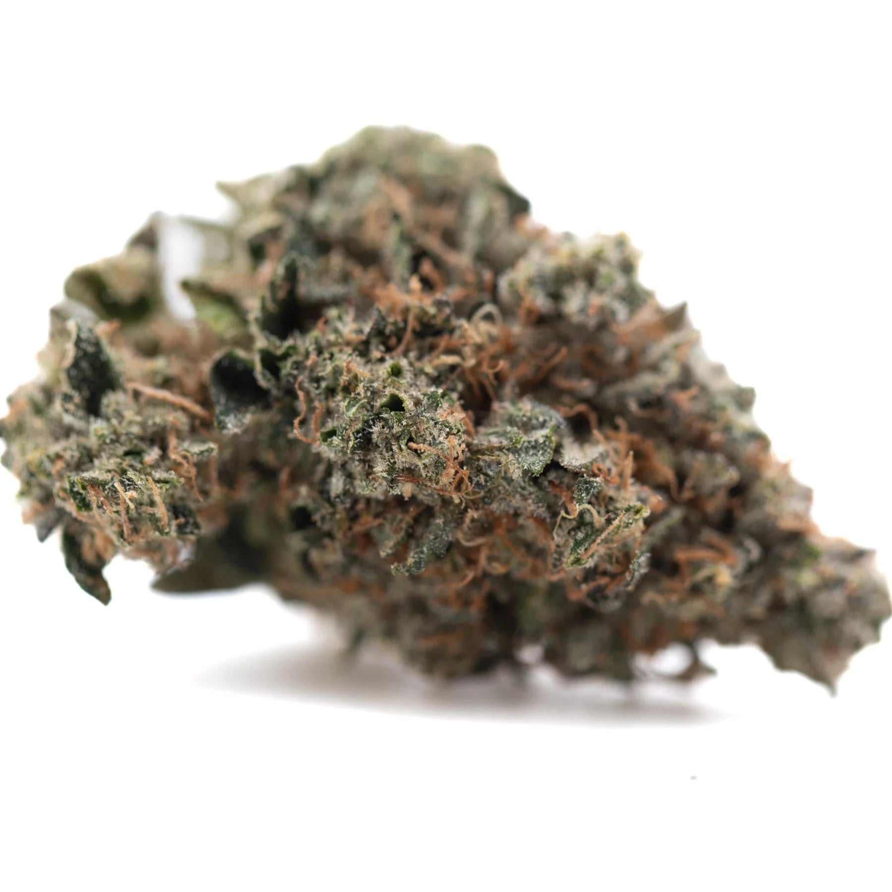 Party animals #2 indoor thca flower dense green and brown thca hemp flower with frosty textured surface premium indoor bud