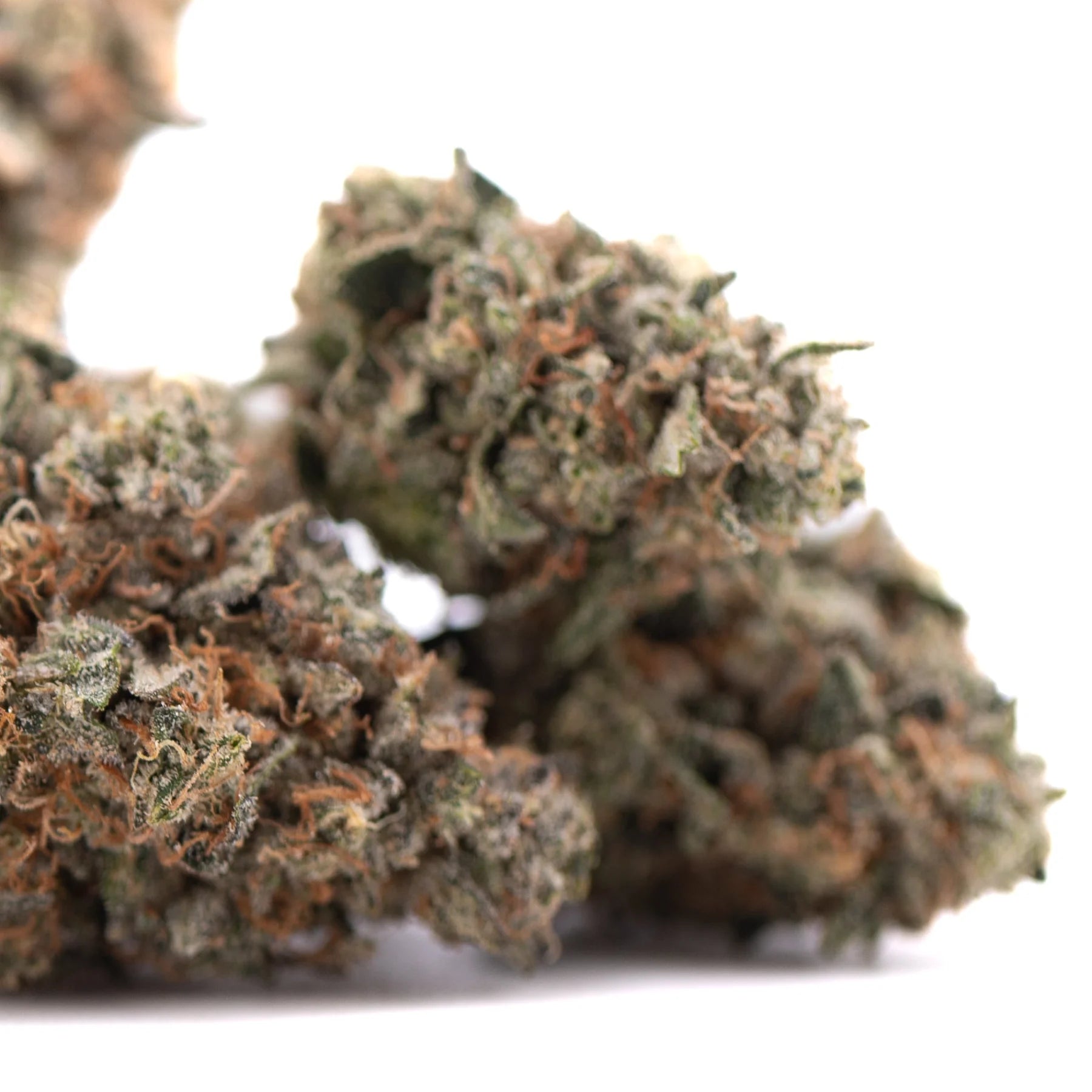 Party animals #2 indoor thca flower dense green and orange hemp bud with frosty textured surface premium indoor thca flower