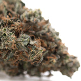 Party animals #2 indoor thca flower dense resinous thca hemp flower with green and brown hues and orange pistils
