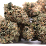 Green and orange-hued party animals #2 indoor thca flower with dense frosty texture premium indoor thca hemp flower