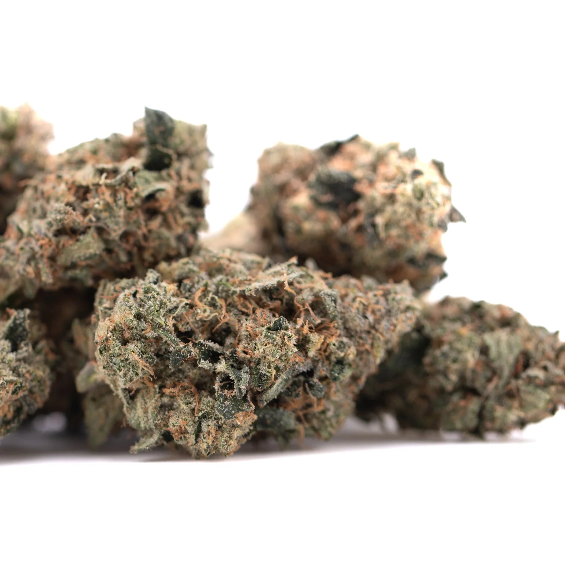 Party animals #2 indoor thca flower featuring green and orange-hued dense premium indoor thca hemp flower buds