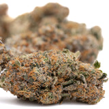 Party Animals Indoor THCa Flower - Plants