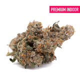 Party Animals Indoor THCa Flower - Plants