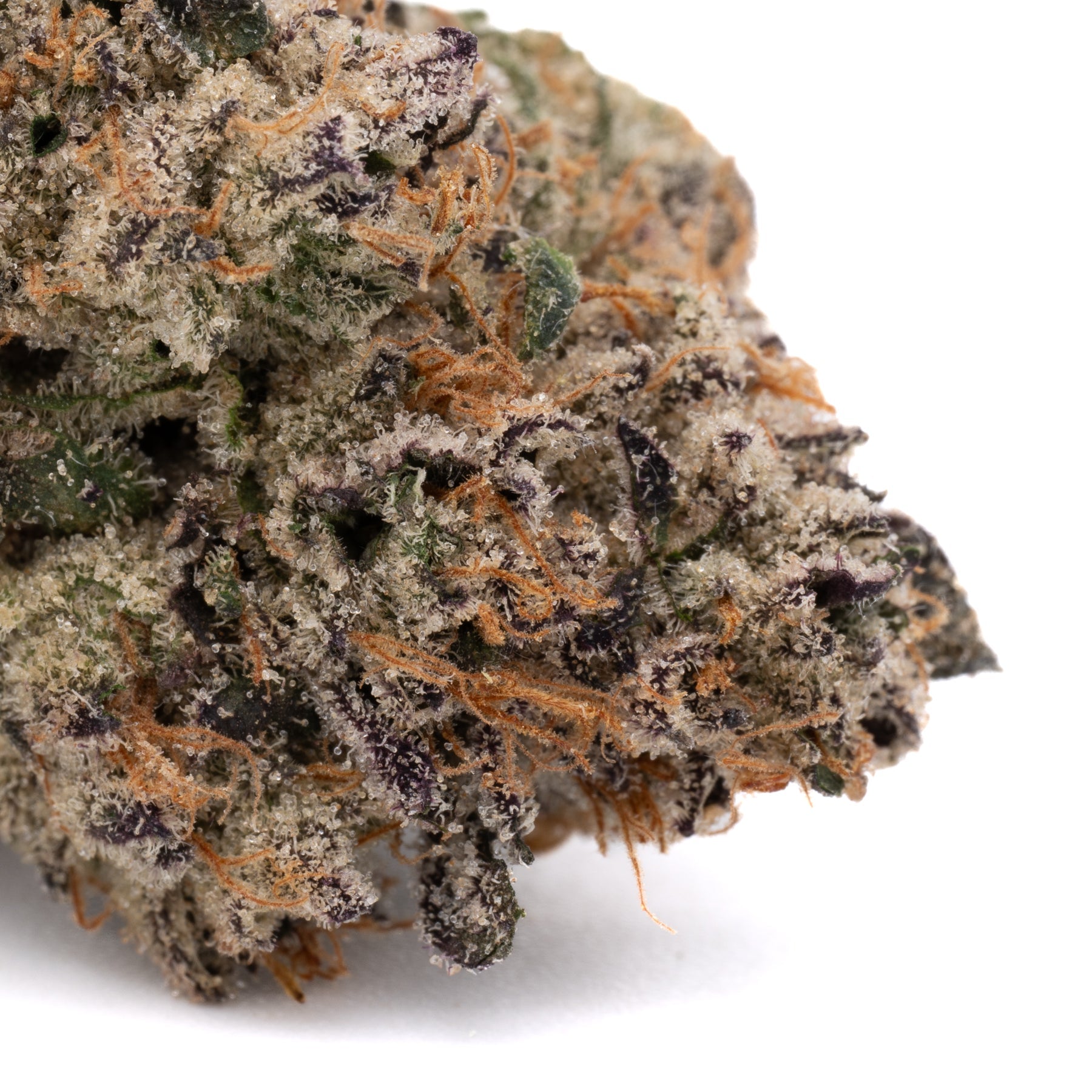 Peach Pie Indoor THCa Flower - Plants