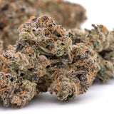 Peach Pie Indoor THCa Flower - Plants