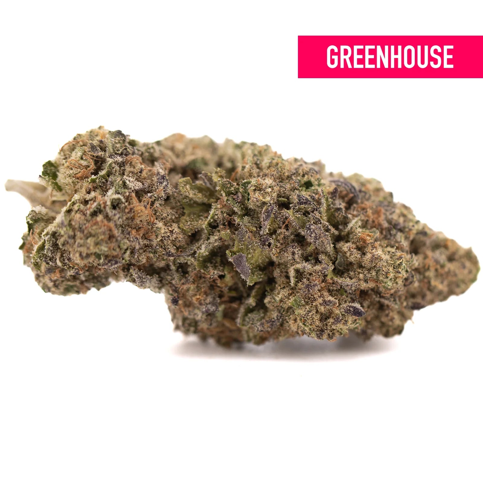 Dense textured peach pie thca hemp flower with green and brown hues covered in fine trichomes for rainbow pie fans