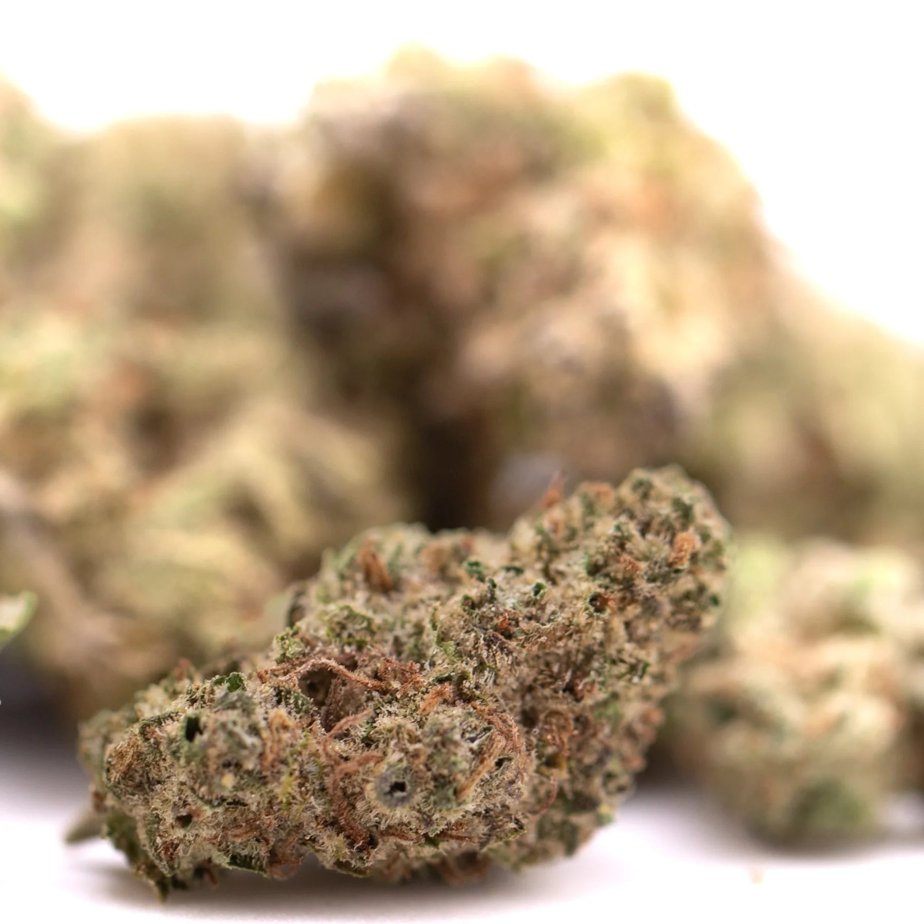 A dense green and brown peach pie thca smalls hemp flower greenhouse bud covered in trichomes with textured surface