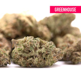 Peach pie thca hemp flower greenhouse smalls with dense rainbow pie buds in green brown and hints of orange dessert character