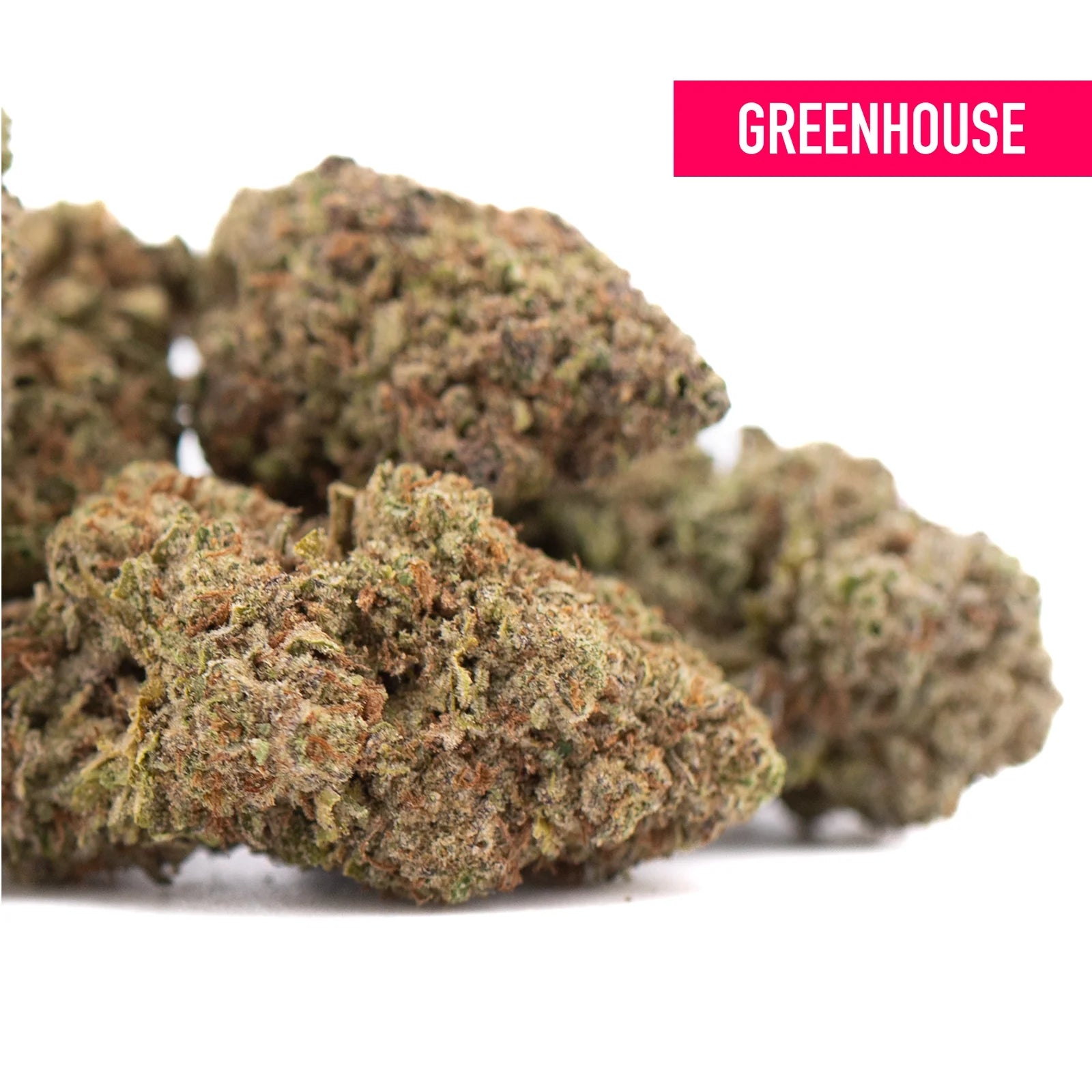 Greenhouse peach pie hemp flower buds with dense textured green and brown colors high in total cannabinoids