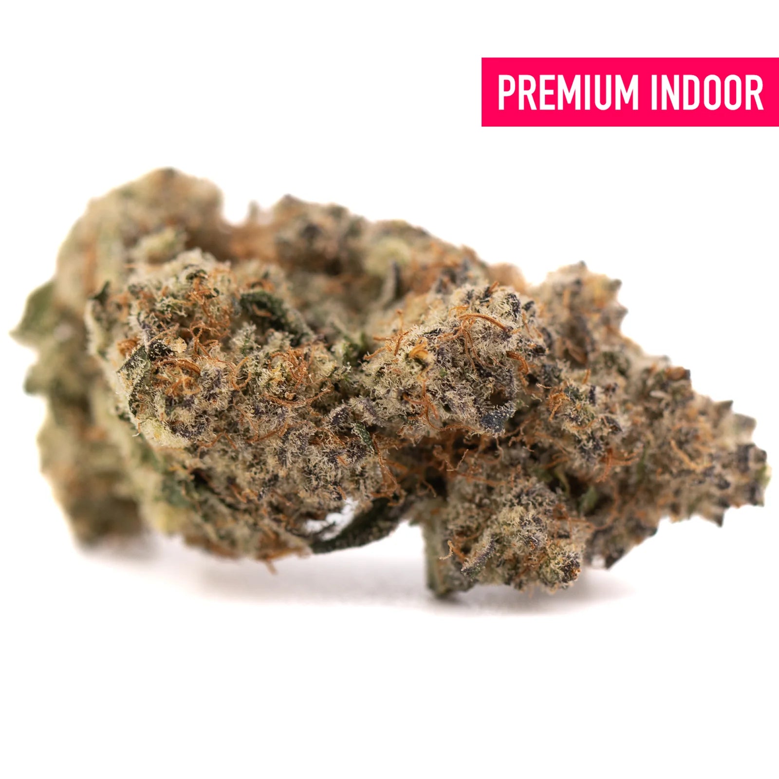 A dense resinous peach rainbow indoor thca flower bud with green brown and orange hues covered in fine trichomes