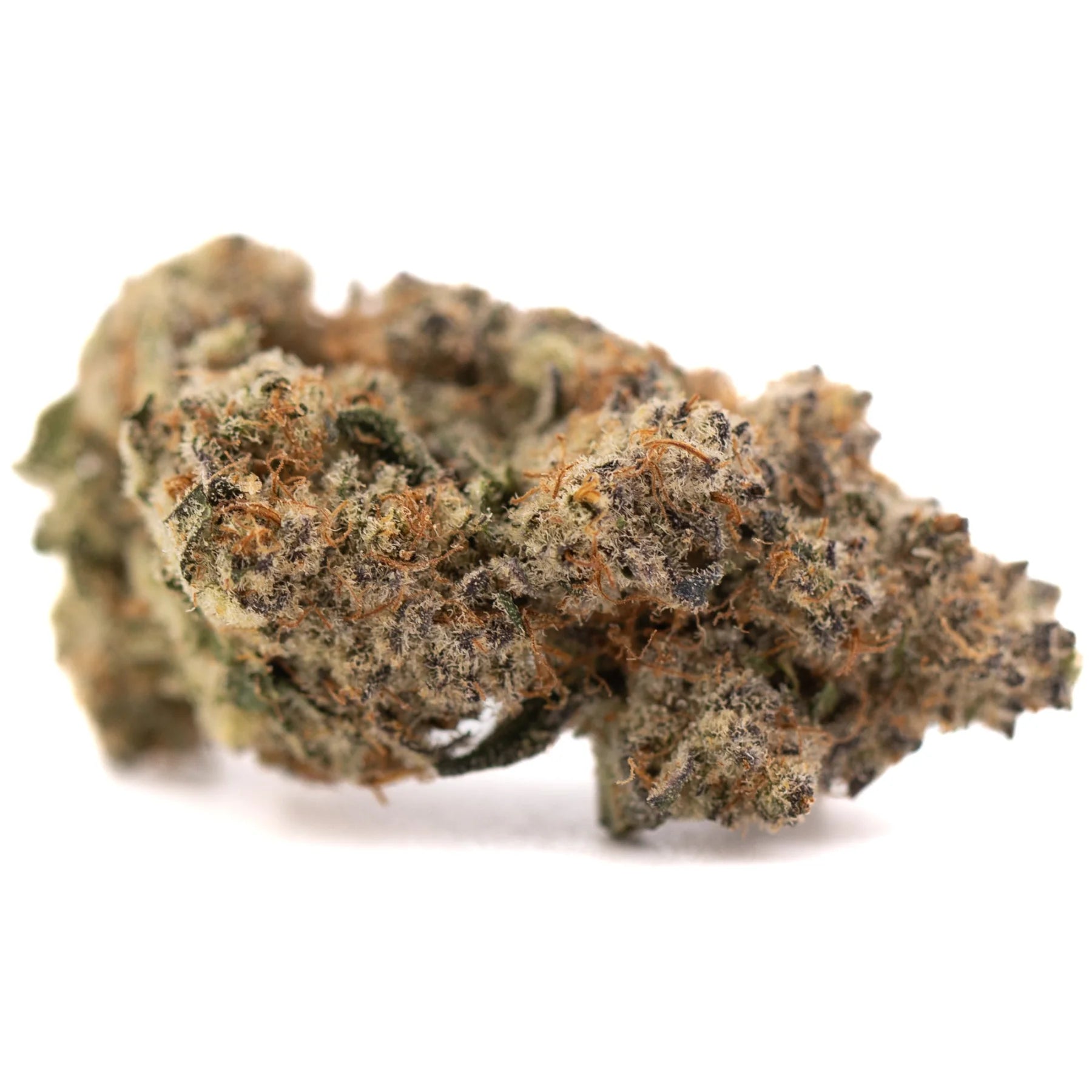 A dense indoor cultivation thca flower bud with white trichomes and orange pistils in sour peach peach rainbow blend