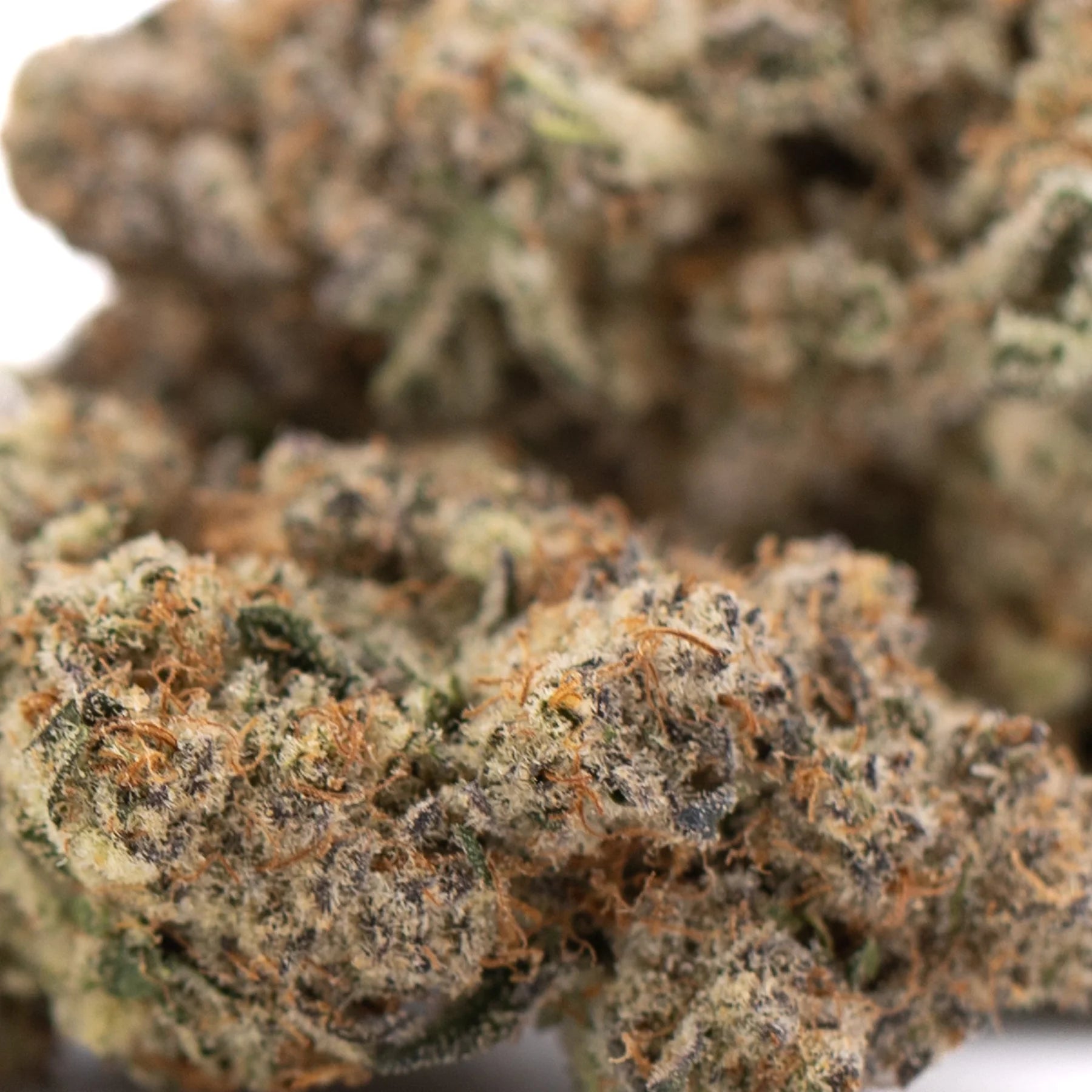 A dense peach rainbow indoor thca flower bud with green brown and white trichomes ideal for indoor cultivation