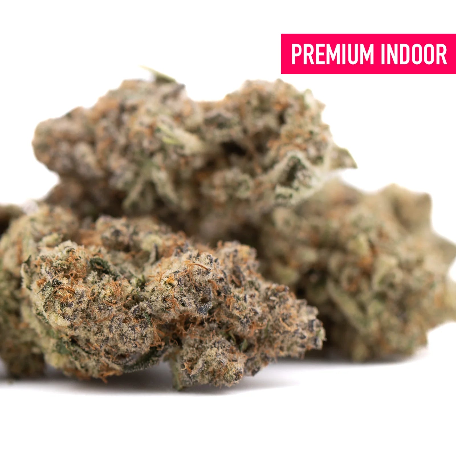 Premium indoor thca flower featuring dense frosty buds with green brown and orange hues from sour peach indoor cultivation