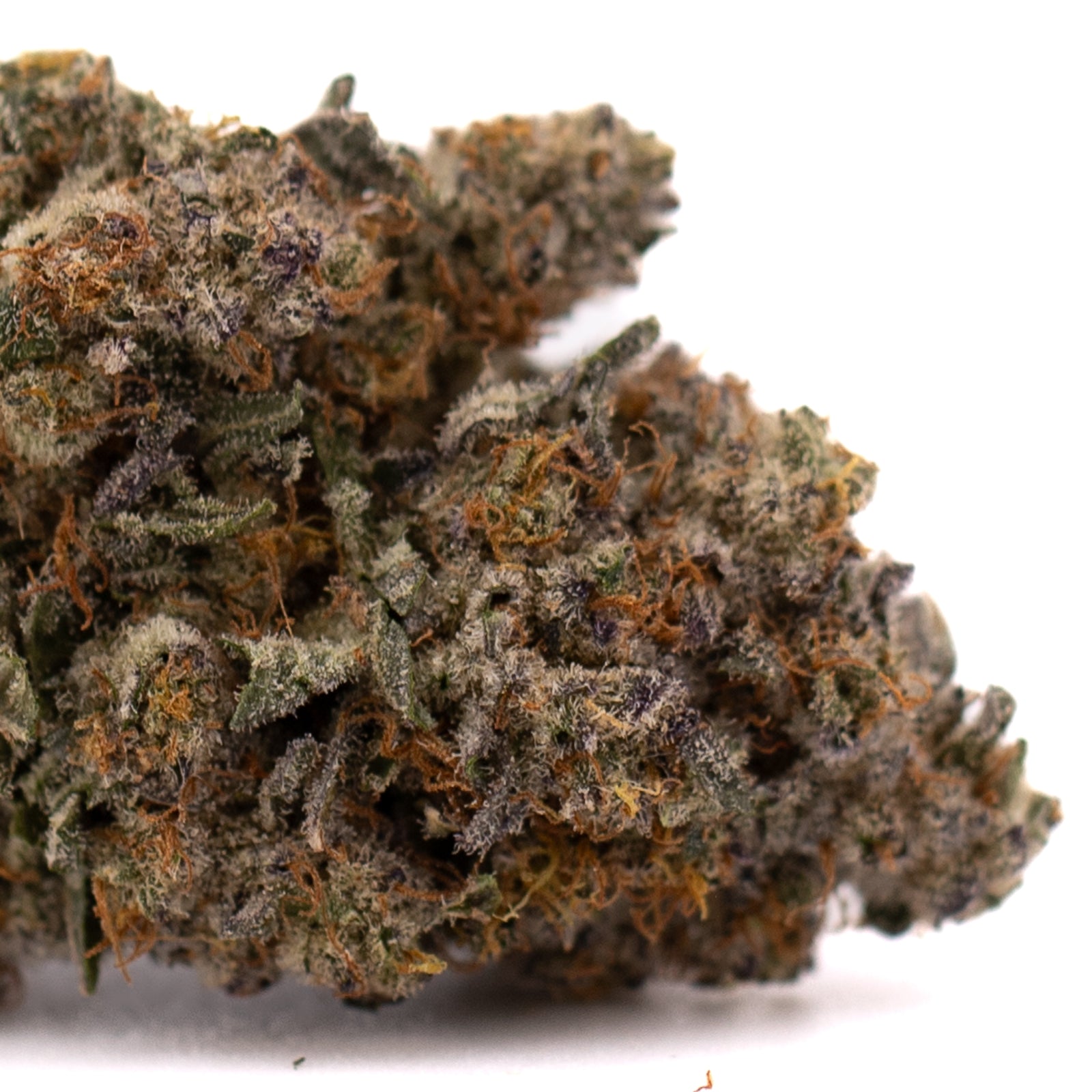 Close-up of Peach Tree THCa Indoor Flower with orange hairs and frosty trichomes