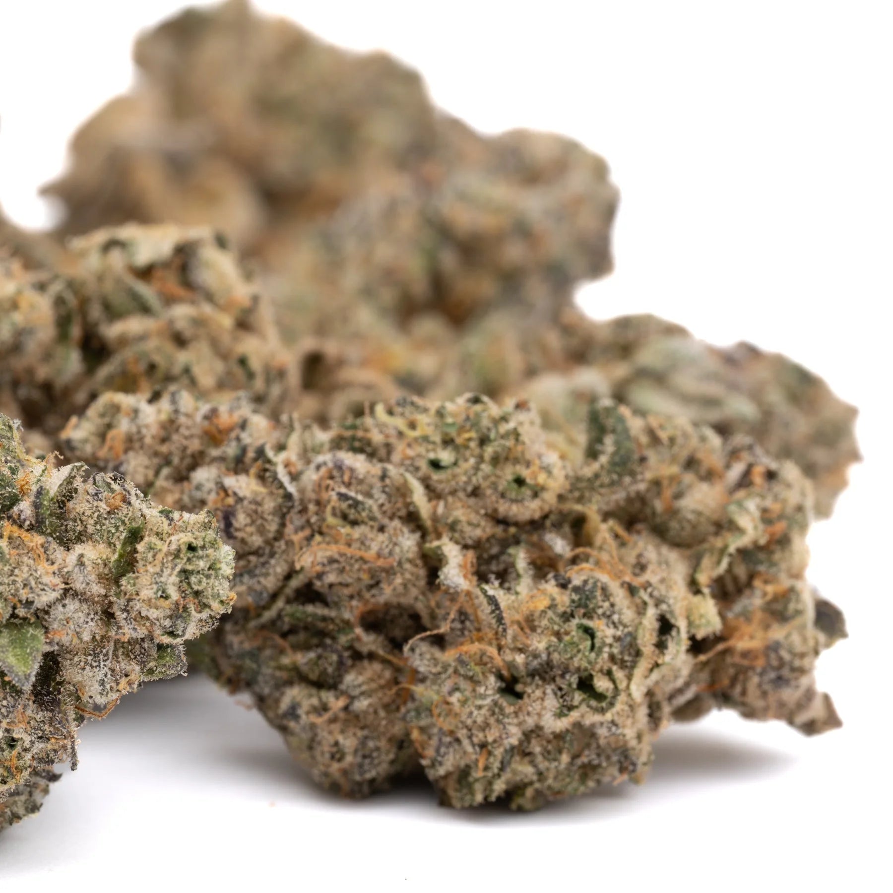 Permanent Marker Indoor THCa Flower - Plants