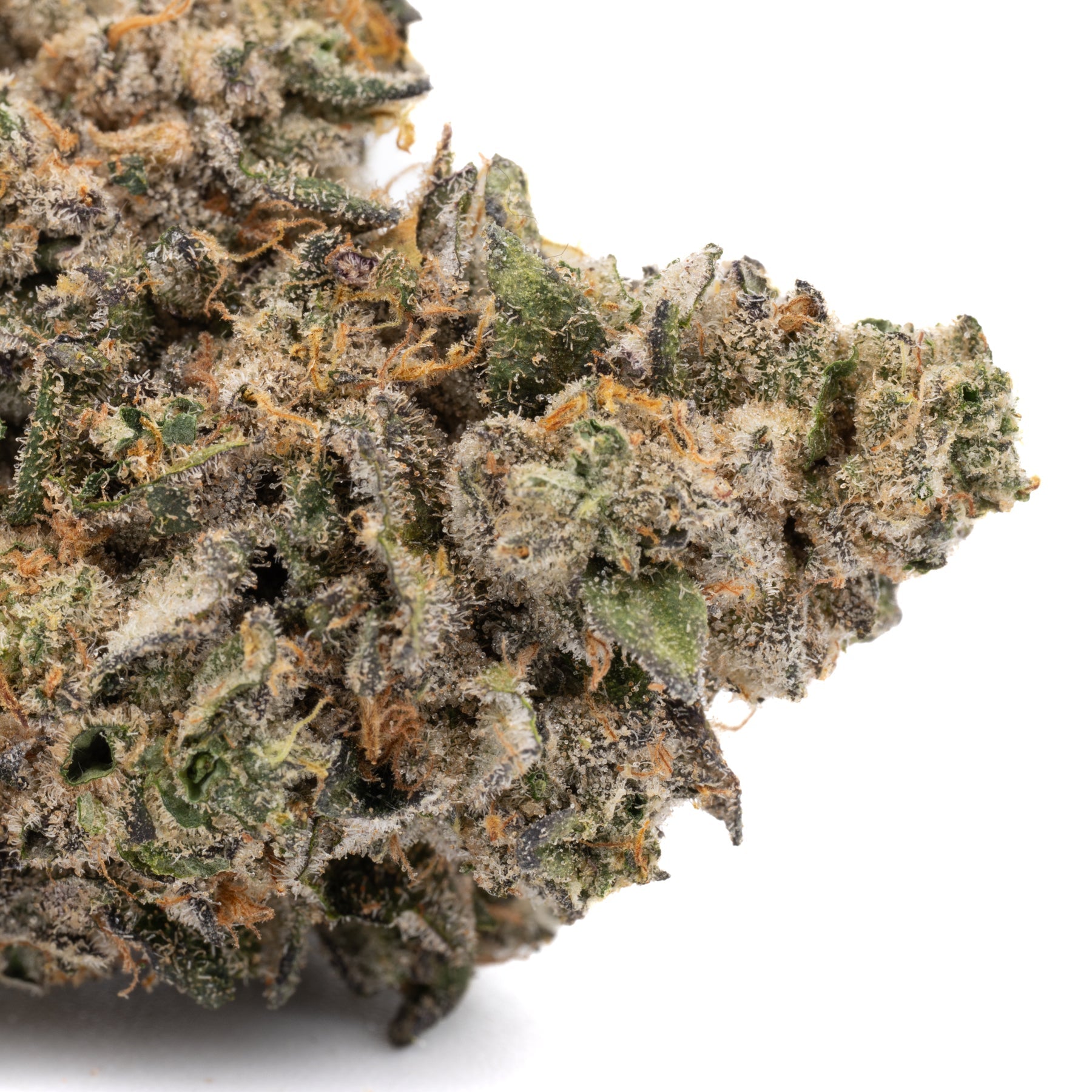 Permanent Marker Indoor THCa Flower Wholesale - Plants