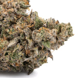 Permanent Marker Indoor THCa Flower Wholesale - Plants