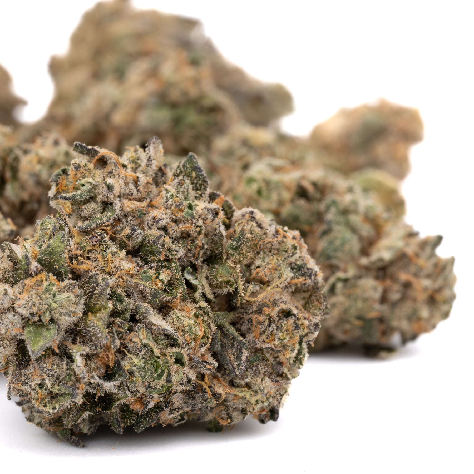 Permanent Marker Indoor THCa Flower Wholesale - Plants