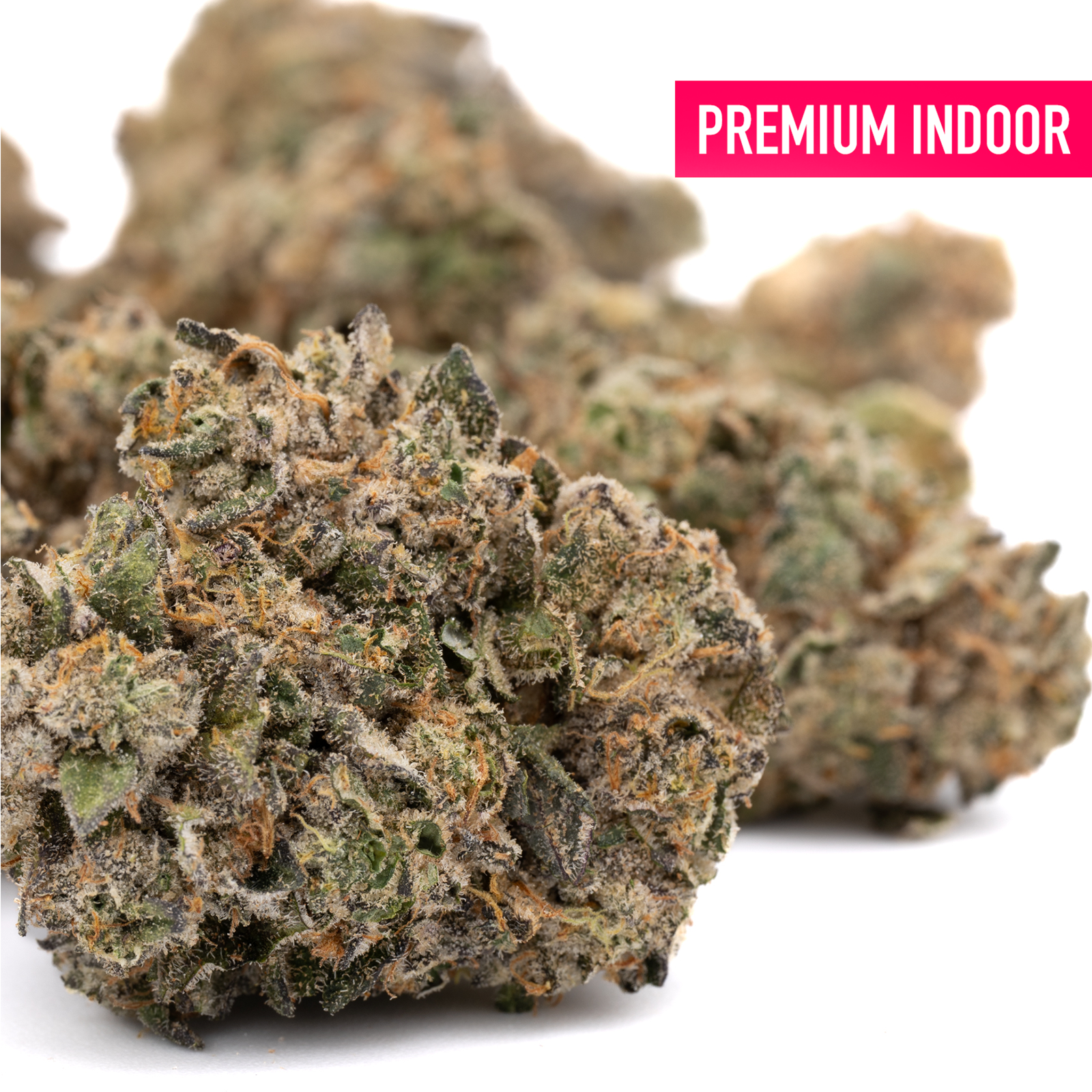 Permanent Marker Indoor THCa Flower Wholesale - Plants